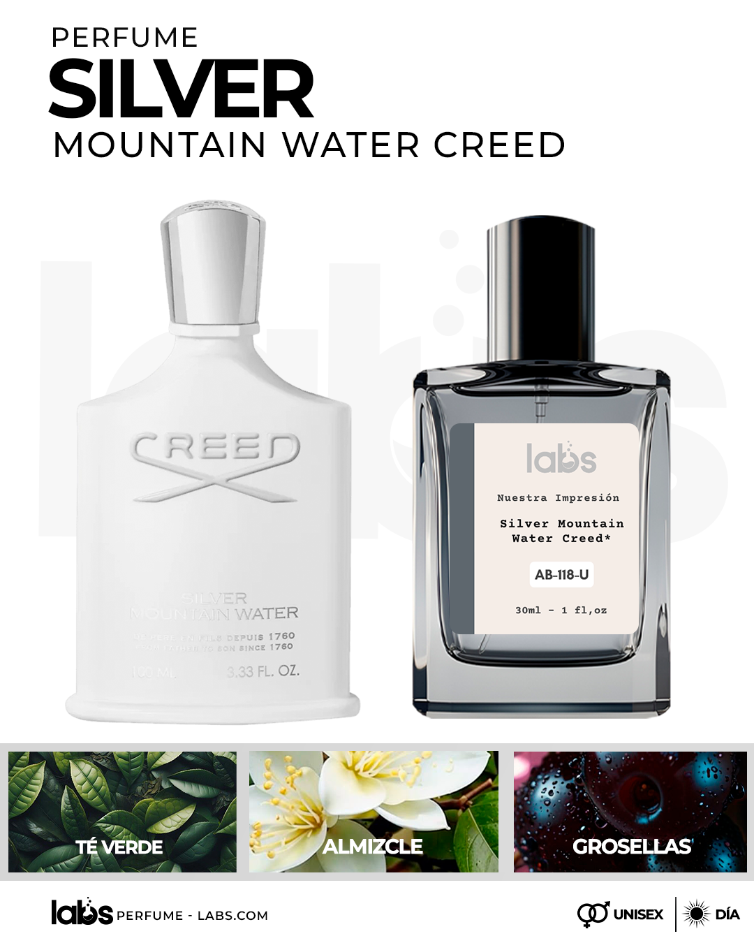 WEB LABS 3 silver mountain