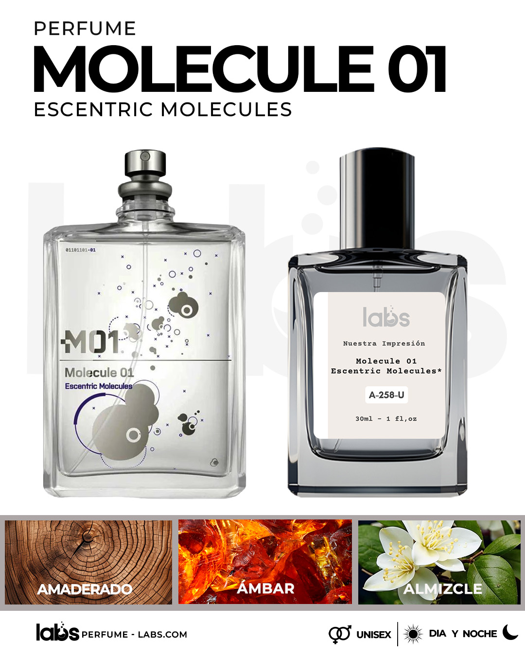 Molecule 01 Escentric Molecules