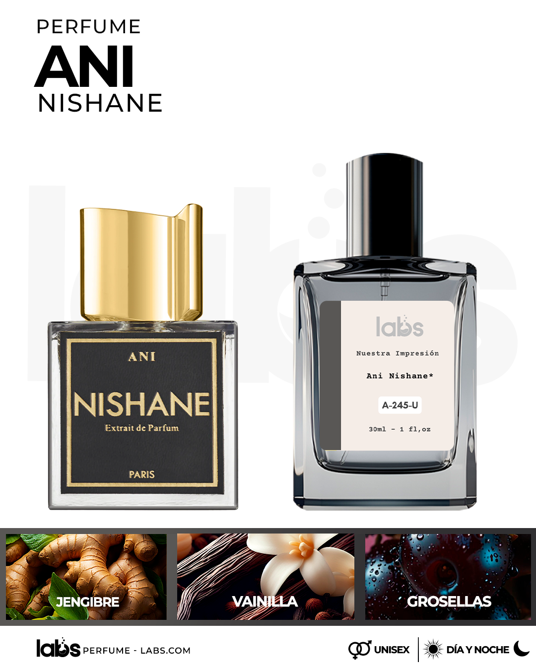 WEB LABS ani nishane